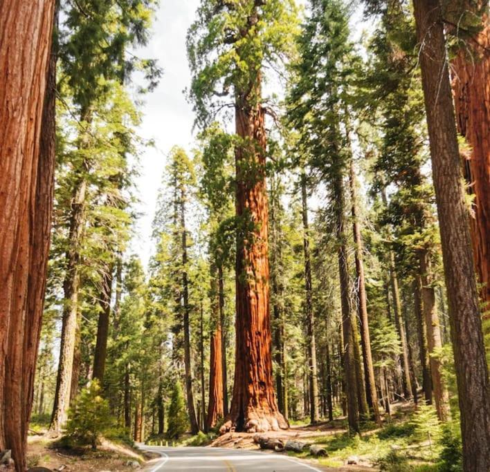 Sequoia Villa ไวเซเลีย ภายนอก รูปภาพ